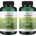 Swanson Holy Basil Leaf (Tulsi) - Stress Support and Well-Being Supplement - (120 Capsules, 800mg Per Serving) 2 Pack
