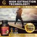 Nootamin Naturals Korean Red Panax Ginseng 7000mg + Ginkgo Biloba + Ashwagandha | Energy, Strength, Focus, Memory | 60 Vegan Capsules - Buy Online on GoSupps.com