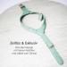 Muki & Co Double Dog Dishes - Adjustable Mint Green - Safe & Comfortable for Extra Small Small & Medium Dogs (Size S 38-45 cm) - Buy Online on GoSupps.com