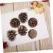 ABOOFAN 72 Pcs Xmas Pine Cone Ornaments Christmas Pine Cone Pine Cone Decorations Pine Needles Natural - Buy Online on GoSupps.com