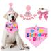 ADOGGYGO Dog Birthday Party Supplies, Boy Girl Dog Birthday Hat with Numbers Dog Puppy Birthday Bandana Hat Bow Set (Pink)