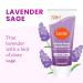 Lume Whole Body Deodorant - Mini Travel Size Invisible Cream Tube - Trial Size - 72 Hour Odor Control - Doctor Developed - Aluminum and Baking Soda Free - .5oz (2 Pk) (Lavender Sage & Minted Cucumber) - Buy Online on GoSupps.com