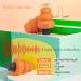 Soft Memory Foam Ear Plugs - 28dB Noise Reduction Ideal for Sleep Concerts & Travel - Anti Snore Earbuds (Orange - Buy Online on GoSupps.com