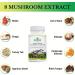 Active Hexose Correlated Compound 1500 mg Supplement Natural 8 Mushroom Extract Supplement Immune System Liver Function Natural Killer and T Cells Activity 90 Veggie Capsules 90 Count (Pack of 1) - Buy Online on GoSupps.com