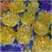 Natural Crystal Cluster Electroplated Yellow Crystal Cluster Reiki Stone Crystal Tip House Decorative Specimens Cr ERBDRGAZ 1pc Yellow - Buy Online on GoSupps.com