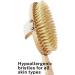 Vegan Dry Brush Set for Cellulite & Lymphatic Drainage - Natural Cactus Bristles - Body & Face Brushing - 4 Piece - Buy Online on GoSupps.com