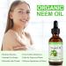 Organic Neem Oil for Skin Hair - Leaves Skin Youthful & Radiant Promotes Healthier Thicker Hair - Neem Oil for Plants - 100% Natural Cold Pressed Hexane Free - 2PCS 120ml - Buy Online on GoSupps.com