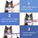 2 Pack Cat Flea Collar | 8 Months Protection | Repels Fleas & Ticks | Safe & Effective Prevention - Buy Online on GoSupps.com
