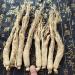 500g Ren Shen Chinese Herb white Panax Ginseng Root with tail - Buy Online on GoSupps.com