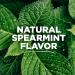 Tom s of Maine Naturally Waxed Antiplaque Dental Floss - Spearmint Flavor 32 Yards | Eco-Friendly Oral Care - Buy Online on GoSupps.com