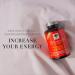 New Nordic Ashwagandha Gummies - Dietary Supplement for Stress Relief & Energy Support - Sugar-Free Non-GMO Gluten-Free & Dairy-Free - 60 Vegan Gummies (Pack of 3) - Buy Online on GoSupps.com