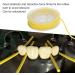 Premium Agate Stabilization Cord for Suitcases - 2.1m Elastic Dental Tool Wedges & Clamps | Ideal for Dental Insulation - Buy Online on GoSupps.com