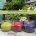 Natural Soy Candles Set of 3 - Lemongrass Lavender & Rosemary Sage - Essential Oils - Made in USA - Indoor/Outdoor Use - Buy Online on GoSupps.com