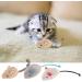 Newoutset 4 Pcs Natural Silvervine Cat Chew Sticks with 3 Pcs Cat Mouse Toys Kitten Catnip Chew Toys for Indoor Cats Cleaning Teeth Teething Stress Release Toys Sticks - Buy Online on GoSupps.com