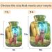 Naanle Fantastic Hirsch 2L Transparent Hot Water Bottle with Cover | Pain Relief & Heat/Cold Therapy for Hands & Feet - Buy Online on GoSupps.com
