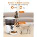 Automatic Cat Feeder with Timer | Large Dog Food Dispenser | Stainless Steel Bowl | 1-6 Meals Per Day | 10s Voice Recorder | White - Buy Online on GoSupps.com