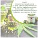 Swissmedicus Hemp Ointment Forte - 30% Hemp Oil for Acne Eczema & Psoriasis - Natural Vegan 125ml Remedy for Problematic Skin - Buy Online on GoSupps.com