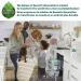 Seventh Generation Free & Clear Dish Liquid Soap 25 Oz - Pack of 6 - Buy Online on GoSupps.com