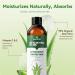 Aero Zen 99% Natural Aloe Vera Gel | Daily Hydration & After-Sun Relief | Lightweight Alcohol-Free Formula Deeply and Quickly Soothes Skin Suitable for Face/Body/Hair - 8.45 fl oz 8.45 Fl Oz (Pack of 1) - Buy Online on GoSupps.com