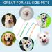 CAVLA 4 Pcs Small Dog Toothbrushes Cat Toothbrush Mini Head Soft Bristle Pet Toothbrush Pet Dental Care Kit Pet Oral Cleaning Products for Puppy Kitten Cats&Small Breed Dogs (B) - Buy Online on GoSupps.com