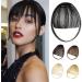 Bangs Hair Clip Synthetic Air Bangs Curved Bangs Heat Resistant Hairpieces Hair Women Fake Fringe Natural Bangs Hair Clips for Extensions Bangs Clip in Hair (Color : F447 88A) - Buy Online on GoSupps.com
