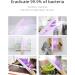 Portable UV Light Sanitizer Wand for Home and Travel - Clinically Proven Disinfection for Smartphone and Belongings - Chargable - Buy Online on GoSupps.com