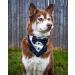 Odi Style Dog Tuxedo for Large Dogs - Wedding Attire with Bow Tie for Dogs - Engagement Gift & Photography Prop - Buy Online on GoSupps.com