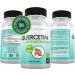 Doctor Recommended Quercetin 800mg with Bromelain 165mg - 120 Veggie Capsules (Pack of 2) | Vitamin Supplement with Bioflavonoids | Gluten Free Non-GMO | 60 Day Supply - Buy Online on GoSupps.com