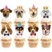 TSJ 24PCS Dog Cupcake Toppers Dogs Face Cake Toppers Puppy Pet Theme Birthday Party Decorations Supplies for Kids Dog Cupcake Topper New - Buy Online on GoSupps.com