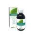 Chlorophyll Naturalma | Alcohol-Free Liquid 500 ml | Food Supplement |Vegan and 100% Natural Alcohol-free 500.00 ml (Pack of 1)