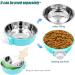 2 Pcs Pet Crate Bowls 2-in-1 Dog Hanging Bowl Removable Cage Water Bowls for Small Animals Blue & Green - Buy Online on GoSupps.com