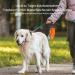 Large Dog Water Bottle - 24oz Portable Pet Water Bottle for Travel | Safe Spout Perfect for All Dog Breeds - Orange - Buy Online on GoSupps.com