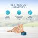 Blue Buffalo Indoor Hairball Control & Weight Control Adult Dry Cat Food 7lb - Chicken & Brown Rice - Buy Online on GoSupps.com