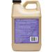 Granite Gold Clean and Shine Refill 64oz Citrus - Streak-Free Deep Cleaning for Natural Stone and Quartz Surfaces - Buy Online on GoSupps.com