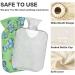 NAANLE Funny T-Rex 2L Transparent Hot Water Bottle | Large Heat & Cold Therapy for Pain Relief - Perfect for Bed & Hand/Foot Use - Buy Online on GoSupps.com
