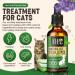 Flee flea! FLEA TREATMENT FOR CATS | CAT FLEA TREATMENT SPOT ON APPLICATION | FLEA AND TICK TREATMENT FOR CATS | WORKS WELL ON ALL BREEDS FOR A SPOT ON FLEA TREATMENT FOR CATS - Buy Online on GoSupps.com