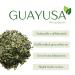 Organic Guayusa Tea 113g Loose Leaf Premium Shade-Grown Ilex Guayusa Coffee Alternative Natural Energy Boost Naturally Caffeinated Herbal Tea | DRAGONFLY HERBS - Buy Online on GoSupps.com