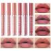 6Pcs Matte Lipstick Set Liquid Lip Gloss Velvety Not Fade Long Lasting and Waterproof Long Last Makeup Set Non-Stick Matte Finish (B)