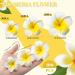 Crowye 100 Pieces Mixed Size Artificial Plumeria Flower Hair Clips - White Foam Hawaiian Frangipani for Women, Girls - Luau, Beach Party Wedding Accessories - Buy Online on GoSupps.com