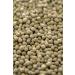 Biojoy Organic Green Peas 2.5 kg - Dried Whole Additive-Free | Premium Quality Superfood for Healthy Cooking - Buy Online on GoSupps.com
