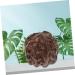 Partykindom Wenwan Handle Fake Peach Core Statue - Hand-Carved Wood Peach Decoration | Vietnamese Agarwood Fruit Carvings - Buy Online on GoSupps.com