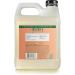 Mrs. Meyer's Geranium Hand Soap Refill 33 Oz - Pack of 2 | Biodegradable Formula with Essential Oils - Buy Online on GoSupps.com