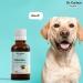 Dr Corbyn Pets Valerian Drops | Calming Supplement for Dogs, Cats & Pets | Supports Relaxation & Stress Relief (50ml) - Buy Online on GoSupps.com