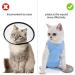 Cat Recovery Suit Cat Surgery Recovery Suit Cat Outfits for Cats Only Cone Collar Alternatives Suit for Cats Weaning Wounds Skin Diseases Cats Anti Licking Pajama Suit(Blue L Size) - Buy Online on GoSupps.com