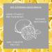 Sunlife Effervescent Tablets - Vitamin C 80g (20 Pieces) | Boost Immunity | Fast International Shipping - Buy Online on GoSupps.com