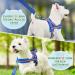Eyein No-Pull Dog Harness with Leash - Adjustable Reflective Padded for Puppies Small & Large Dogs Cats - Dark Blue XS - Buy Online on GoSupps.com