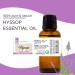GreenHealth Hyssop 1/2 fl oz (15 ml) Glass Bottle 100% Pure Essential Oil - Buy Online on GoSupps.com