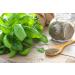 Nature Kitchen Basil 200g: Gluten-Free Vegan Seasoning Spices for Everyday Cooking - Marinades, Sauces, Frying, Baking, Grilling - Buy Online on GoSupps.com