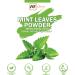 mGanna 100% Natural Mint Leaf Powder 227 GMS / 0.5 LBS for Smooth Glowing Skin Hair Care Cosmetics and Health Care - Buy Online on GoSupps.com