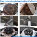 Foam Rust Remover Kitchen All-Purpose Cleaning Powder Multi-Purpose Foam Cleaner Rust Remover Kitchen Instant Cleaning Powder Soak to Clean Greasy Dirt (1 Pcs 250g) - Buy Online on GoSupps.com